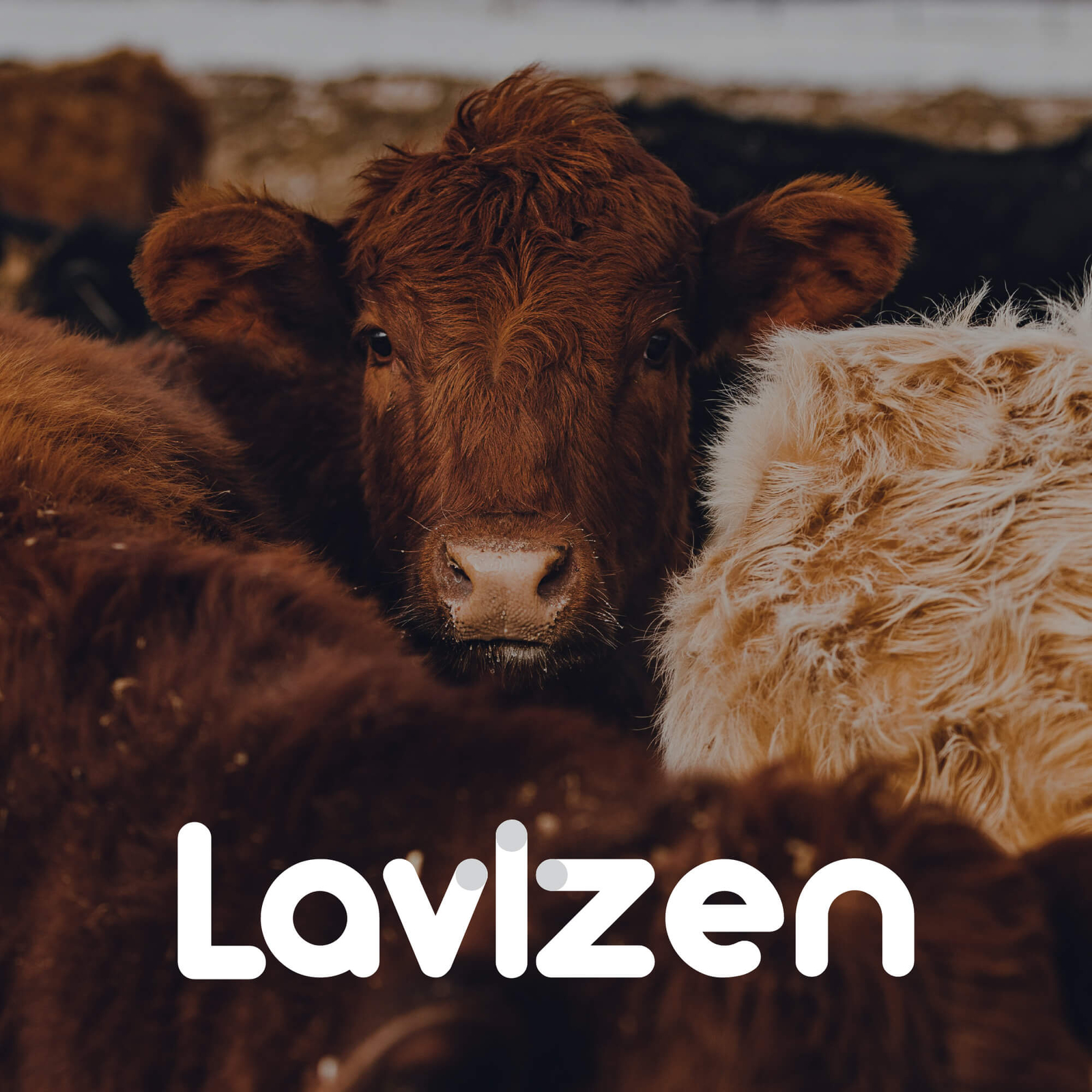 Lavizen - Name for a Pharma Company in India